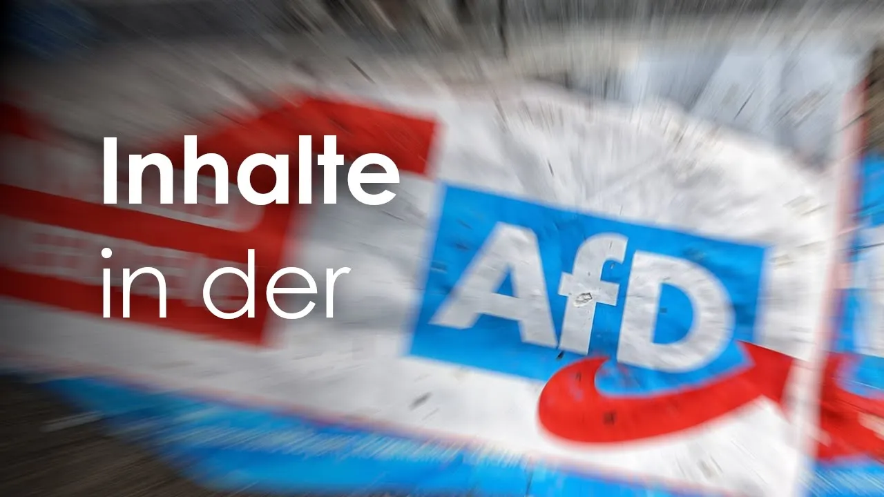 Inhalte in der AfD